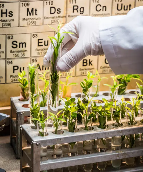 Siarczan cynku w paszach i premiksach kiedy suplementacja Zn ma sens i na co uważać