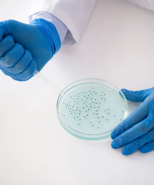 Nadtlenek wodoru w przemyśle papierniczym i tekstylnym, nowoczesna alternatywa dla chloru.